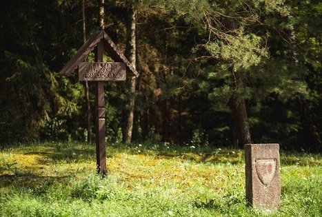 Forest Trail 53. Trikojis – Didžiasalis.