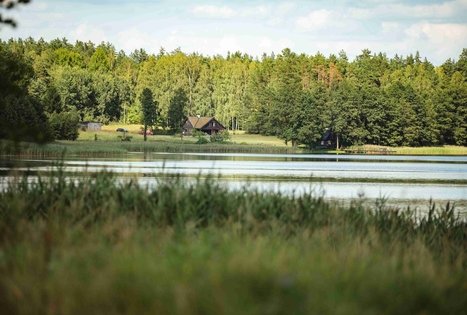 Forest Trail 53. Trikojis – Didžiasalis.