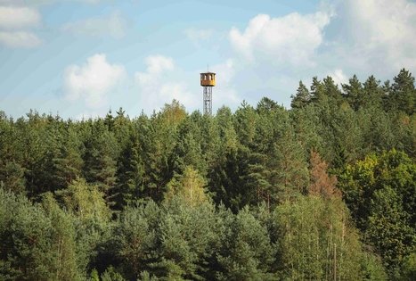 Forest Trail 53. Trikojis – Didžiasalis.