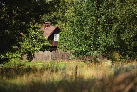 Forest Trail 53. Trikojis – Didžiasalis.