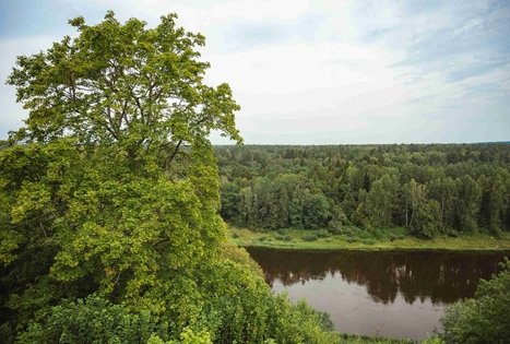 Miško Takas 58. Alytus – Panemunis.