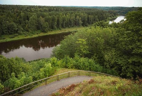Miško Takas 58. Alytus – Panemunis.