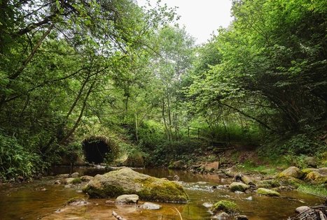 Miško Takas 58. Alytus – Panemunis.