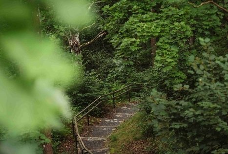 Miško Takas 58. Alytus – Panemunis.