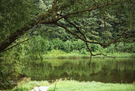 Miško Takas 58. Alytus – Panemunis.