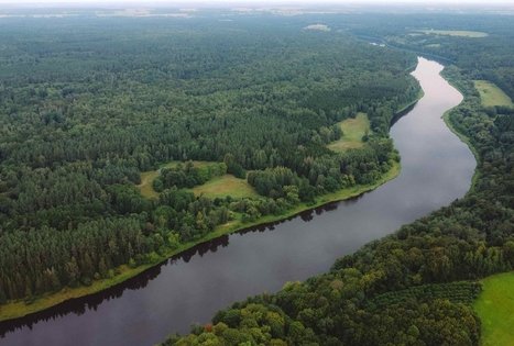 Miško Takas 58. Alytus – Panemunis.