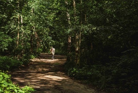 Miško Takas 58. Alytus – Panemunis.