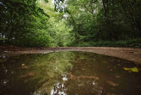 Miško Takas 58. Alytus – Panemunis.