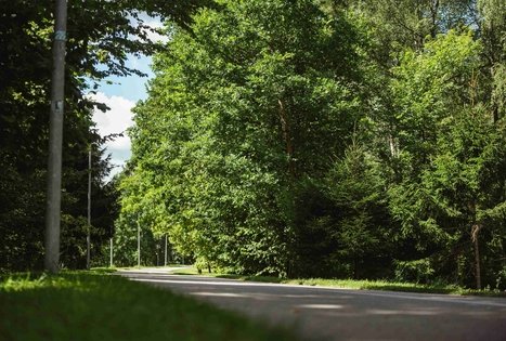 Miško Takas 57. Nemunaitis – Alytus.