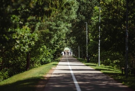 Miško Takas 57. Nemunaitis – Alytus.