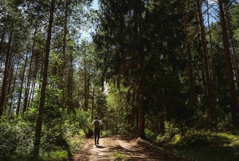 Forest Trail 56. Merkinė – Nemunaitis.