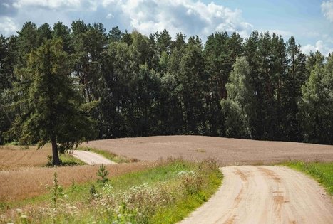Forest Trail 56. Merkinė – Nemunaitis.