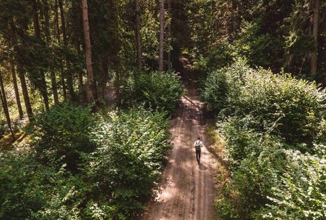 Forest Trail 56. Merkinė – Nemunaitis.