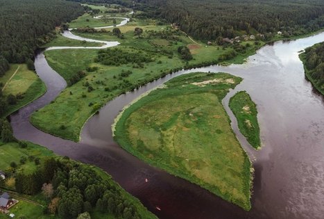 Forest Trail 55. Žiogeliai – Merkinė.