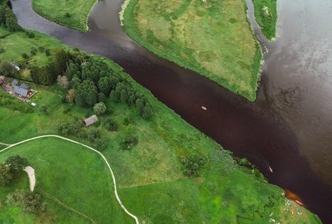 Forest Trail 55. Žiogeliai – Merkinė.