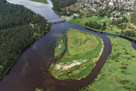 Forest Trail 55. Žiogeliai – Merkinė.