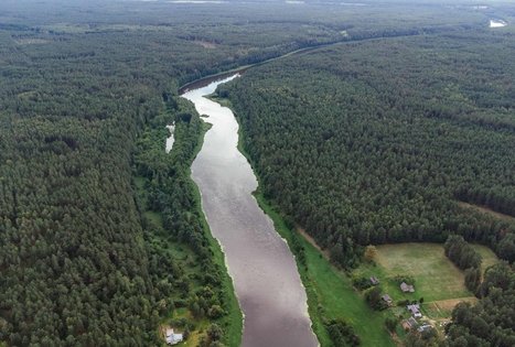 Forest Trail 55. Žiogeliai – Merkinė.
