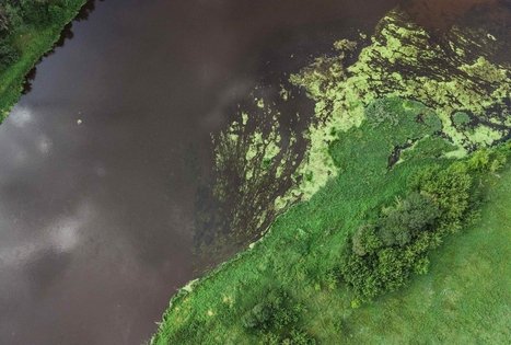 Forest Trail 55. Žiogeliai – Merkinė.