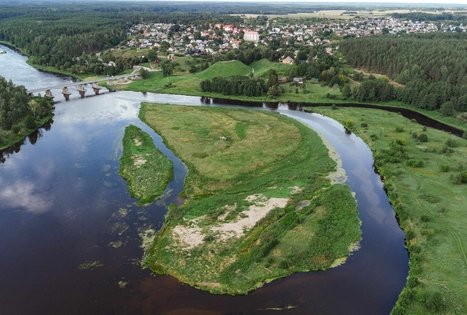 Forest Trail 55. Žiogeliai – Merkinė.