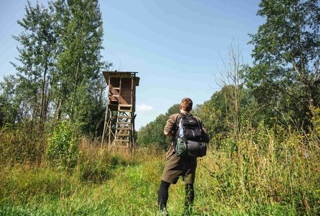 Forest Trail 51. Lazdijai – Veisiejai.