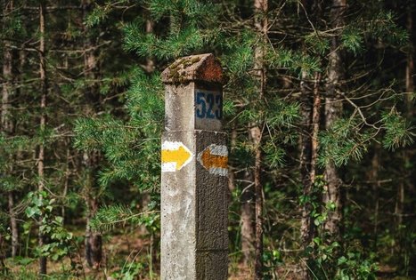 Forest Trail 51. Lazdijai – Veisiejai.