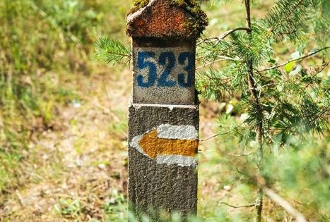 Forest Trail 51. Lazdijai – Veisiejai.