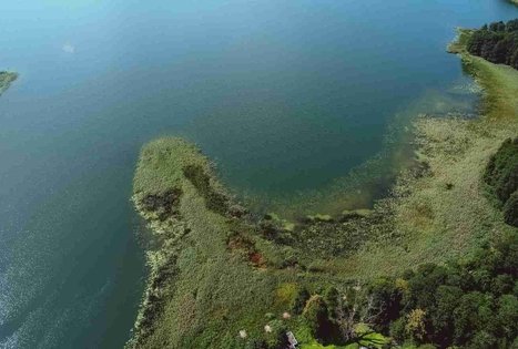 Forest Trail 51. Lazdijai – Veisiejai.