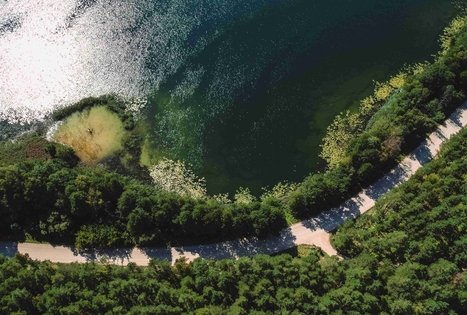 Forest Trail 53. Trikojis – Didžiasalis.