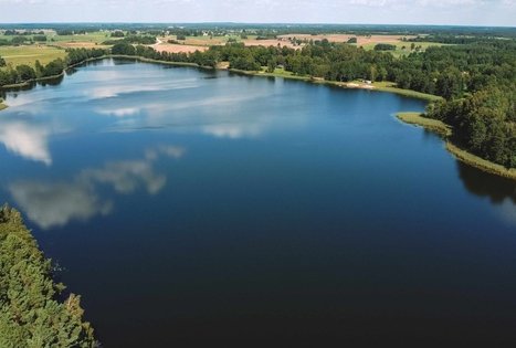 Forest Trail 53. Trikojis – Didžiasalis.