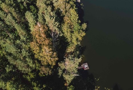 Forest Trail 53. Trikojis – Didžiasalis.