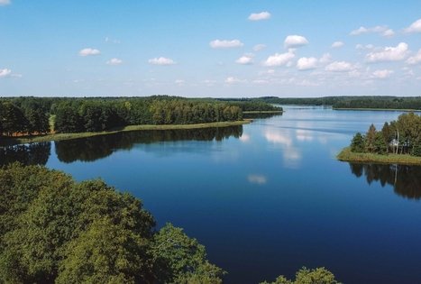 Forest Trail 53. Trikojis – Didžiasalis.