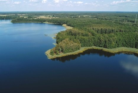 Forest Trail 53. Trikojis – Didžiasalis.