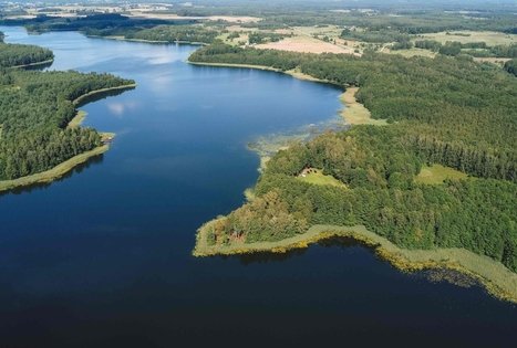 Forest Trail 53. Trikojis – Didžiasalis.