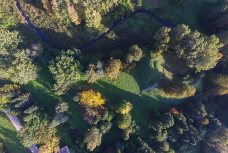 Bambininkų piliakalnis