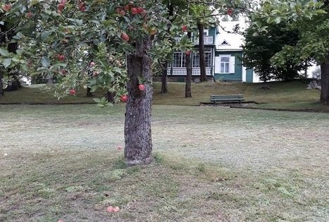 A. Baranausko ir A. Vienuolio-Žukausko memorialinis muziejus