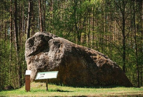 Forest Trail 56. Merkinė – Nemunaitis.