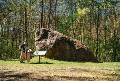 Forest Trail 56. Merkinė – Nemunaitis.