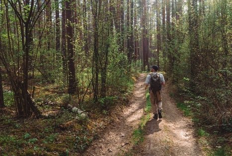 Forest Trail 56. Merkinė – Nemunaitis.