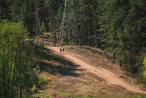 Forest Trail 56. Merkinė – Nemunaitis.