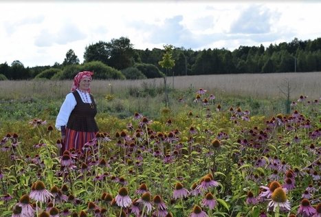 Vaistažolių darželiai Beržoro sodyboje