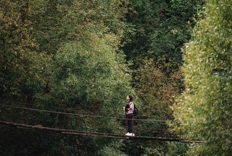 Forest Trail 69. Kirkšnovė – Kaulakiai.