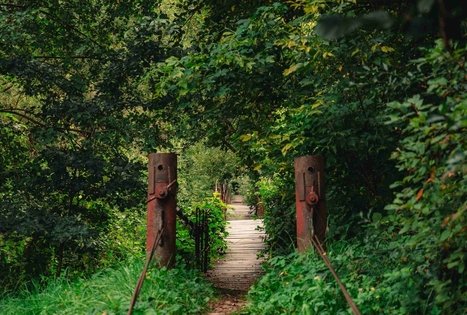 Forest Trail 69. Kirkšnovė – Kaulakiai.