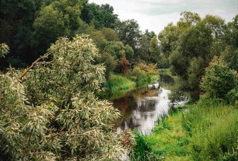 Forest Trail 69. Kirkšnovė – Kaulakiai.