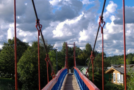 Monkey’s bridge 