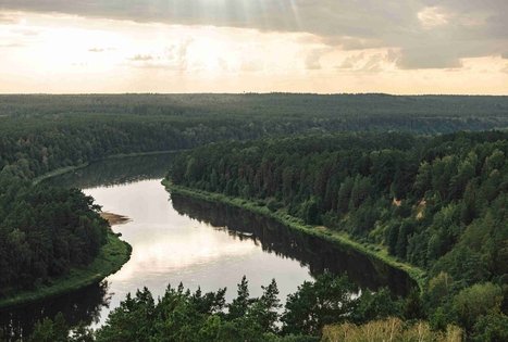 Birštonas observation tower