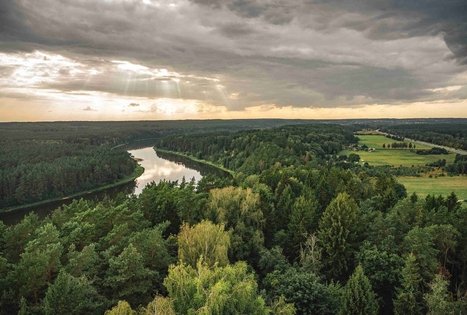Birštonas observation tower