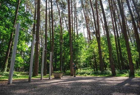 Forest Trail 60. Birštonas – Alksniakiemis.