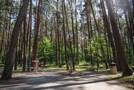 Forest Trail 60. Birštonas – Alksniakiemis.