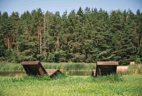 Forest Trail 60. Birštonas – Alksniakiemis.