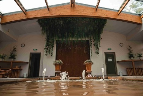 Mineral water pavilion “Birutės vila”